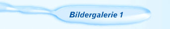 Bildergalerie 1