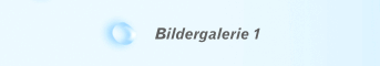 Bildergalerie 1